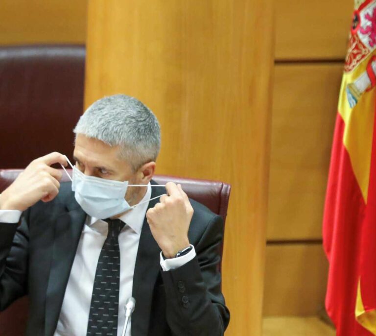 Señal en directo: siga la comparecencia de Marlaska en el Senado