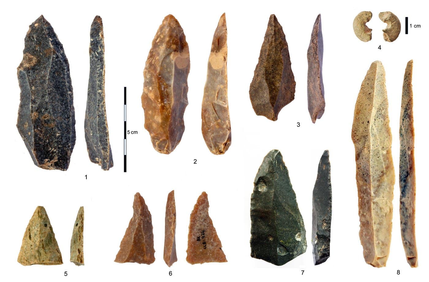 Nuevos fósiles de Homo Sapiens ilustran su primera dispersión por Eurasia