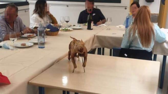 Fiesta en una residencia en Móstoles.