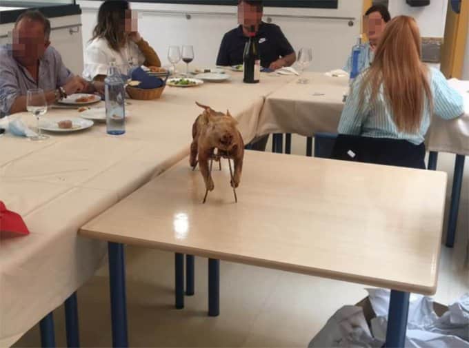 La fiesta bajo sospecha con cochinillo y flamenco en una residencia de Móstoles