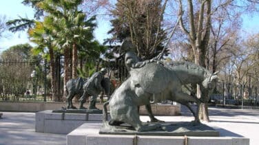 Ciudad Real, punto negro del virus: influida por Madrid, con la cepa de Haro y envejecida