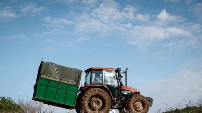 Un tractorista, en plenas labores de recogida de una cosecha en Castilla-La Mancha.