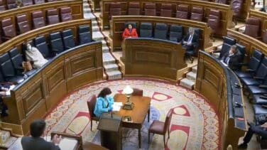 Carmen Calvo reaparece en el Congreso con manta y mascarilla