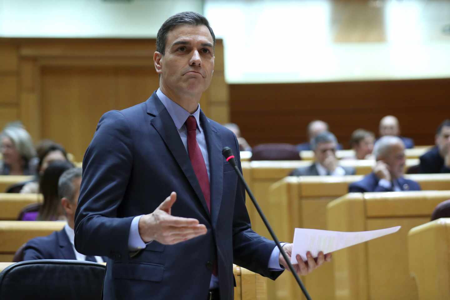 Señal en directo: siga desde el Senado la sesión de control al Gobierno