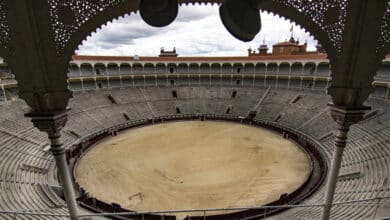 La temporada (casi) perdida y los toros al matadero