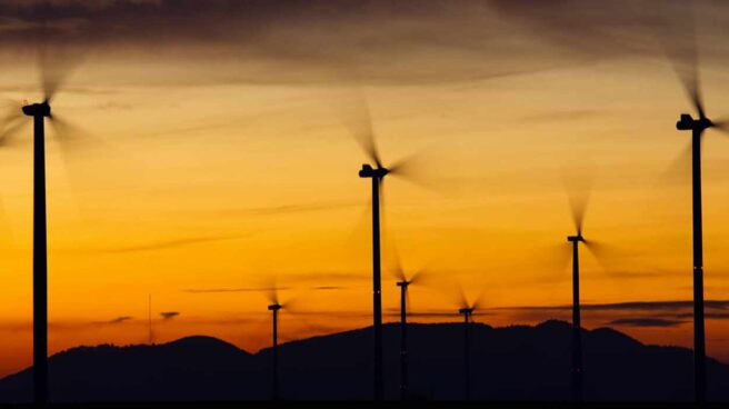 Un parque de energía eólica.