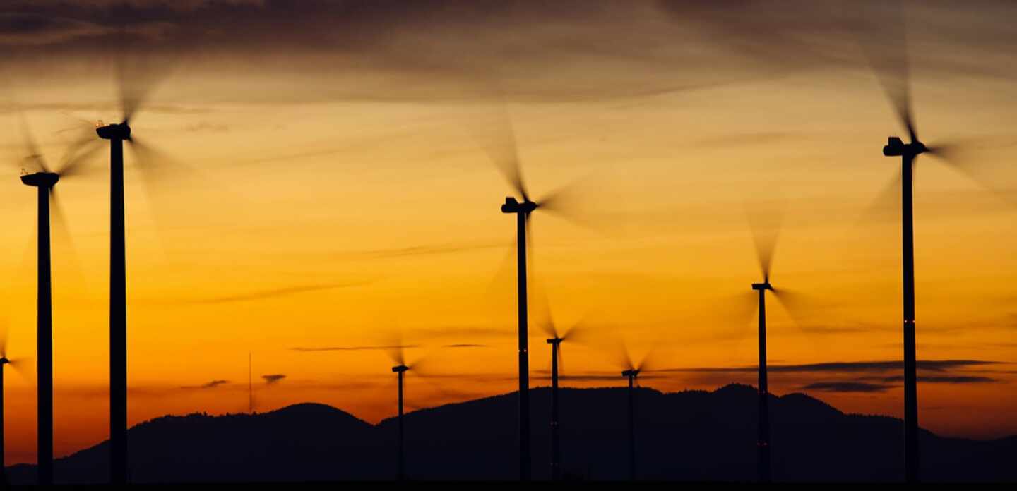 Un parque de energía eólica.