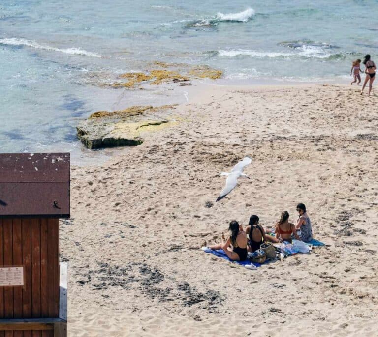 Ibiza pide que los turistas que viajen a la isla se hagan un test en origen