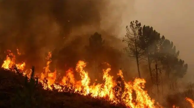 Un incendio sin control quema 20 hectáreas y se acerca a la población en Ourense