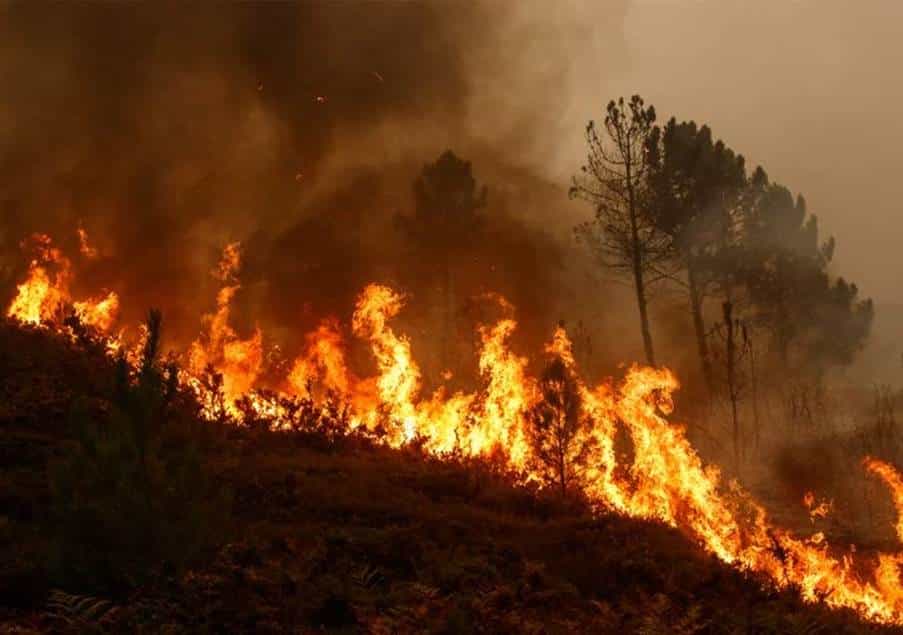 Un incendio sin control quema 20 hectáreas y se acerca a la población en Ourense