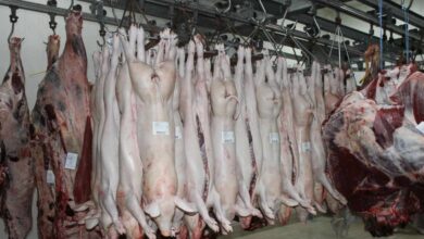 Los ecologistas que paralizaron la M-30 sabotean la mayor fábrica de carne y embutidos de Europa