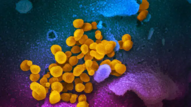 EEUU autoriza los ensayos con la primera prueba de antígenos del coronavirus, que da resultados en minutos