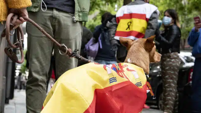 Fotogalería: el perro Barry y otras imágenes de la protesta del barrio de Salamanca