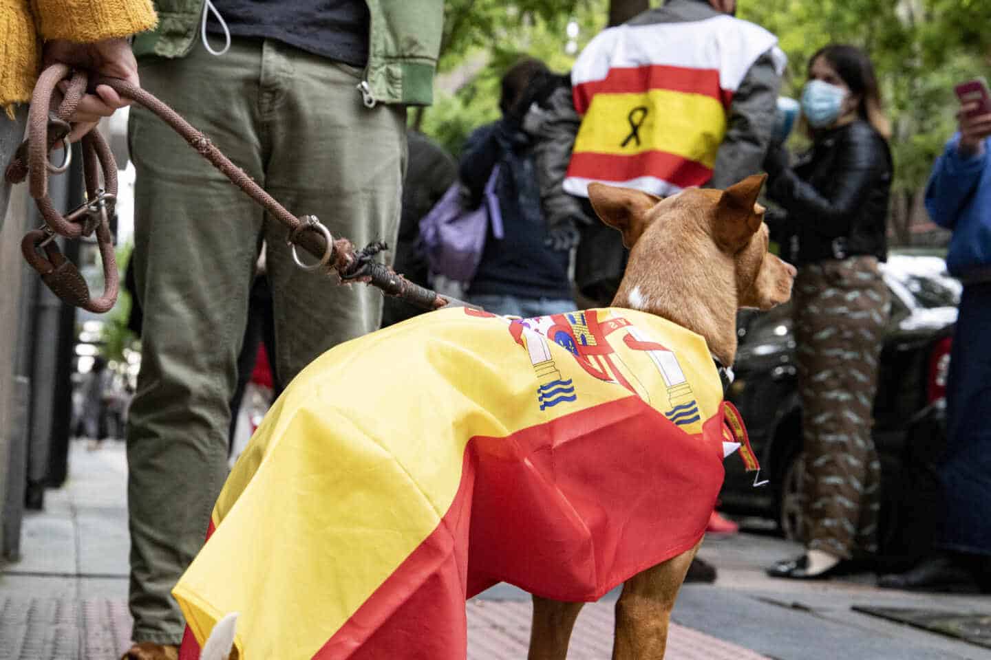 Fotogalería: el perro Barry y otras imágenes de la protesta del barrio de Salamanca