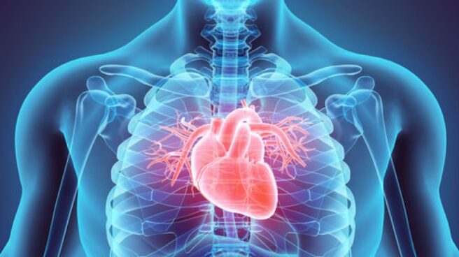 corazón