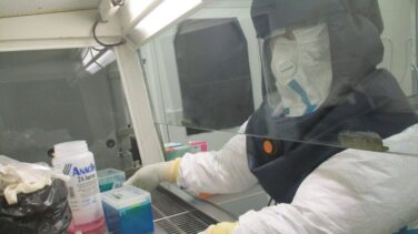 Detectan el primer caso de gato infectado por coronavirus en España