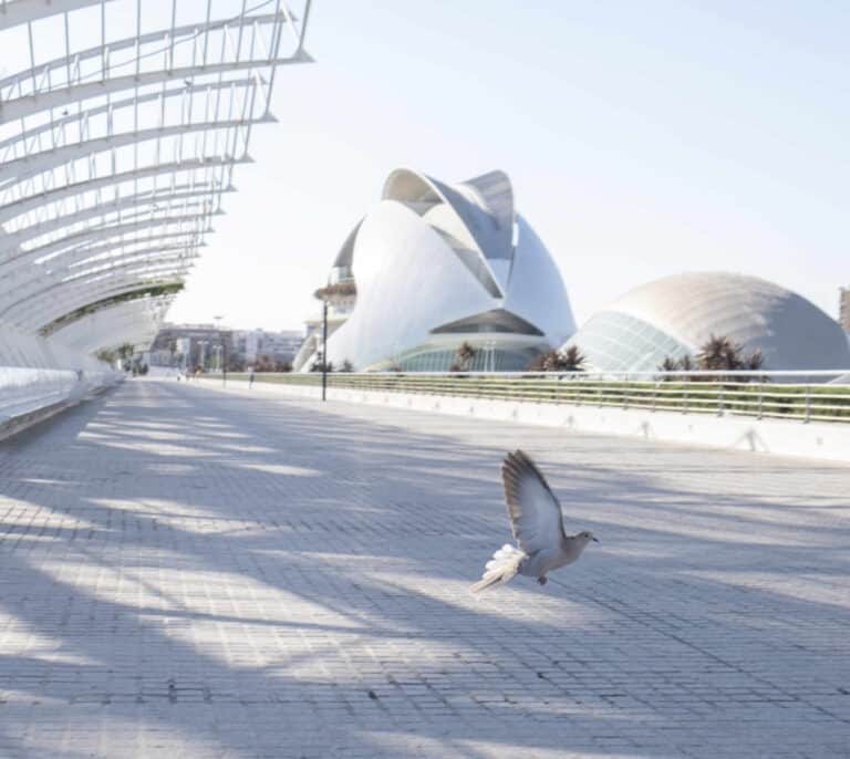 La Ciudad de las Artes y las Ciencias de Valencia contará con un gran mercado navideño