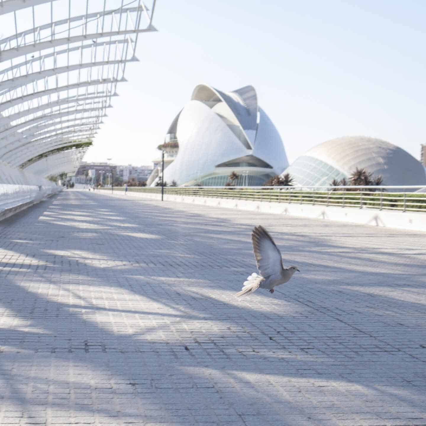 La Ciudad de las Artes y las Ciencias de Valencia contará con un gran mercado navideño