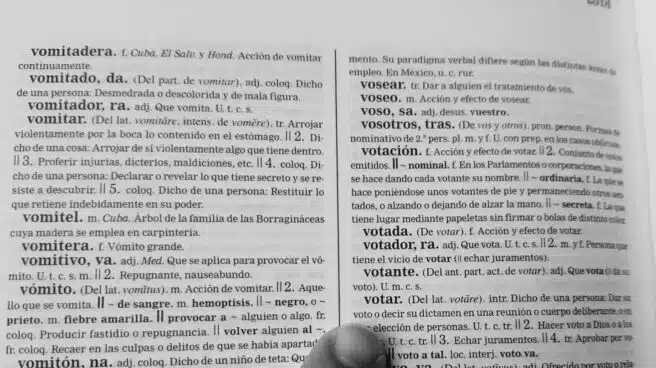 El 'diccionario de campaña' para entender el 12-J en Euskadi