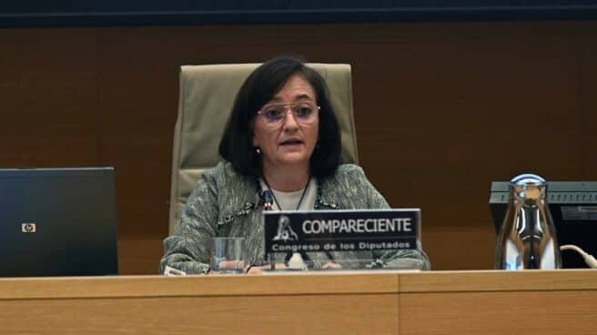 Herrero ante la Comisión de Hacienda del Congreso