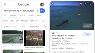 El "fact-checking" llega a Google imágenes