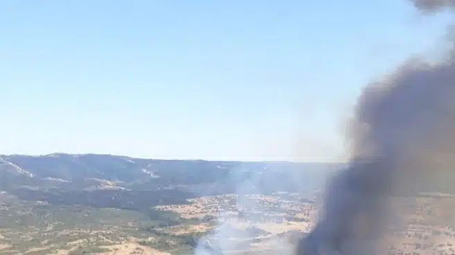 Decenas de efectivos trabajan para extinguir un incendio forestal en Huelva