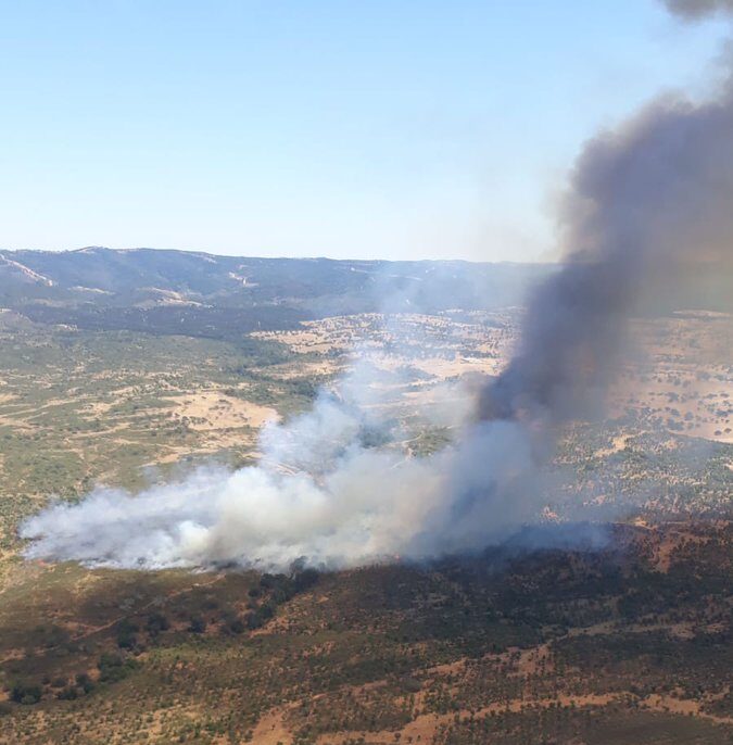 Decenas de efectivos trabajan para extinguir un incendio forestal en Huelva