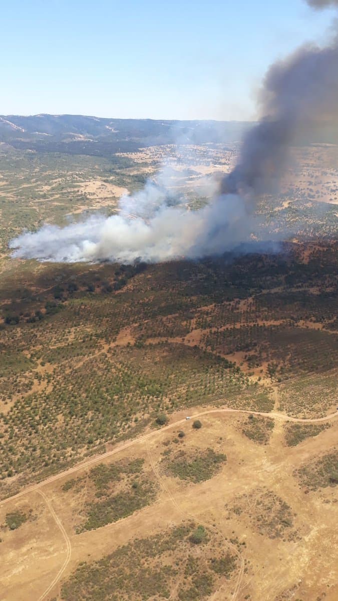 Decenas de efectivos trabajan para extinguir un incendio forestal en Huelva