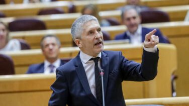 Los jueces salen en defensa de la separación de poderes y contra la actuación de Marlaska