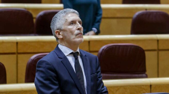 El ministro del Interior, Fernando Grande-Marlaska, guardando un minuto de silencio al inicio del pleno del Senado este martes.