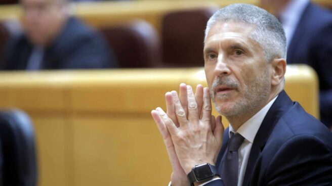 Fernando Grande-Marlaska, ministro del Interior.