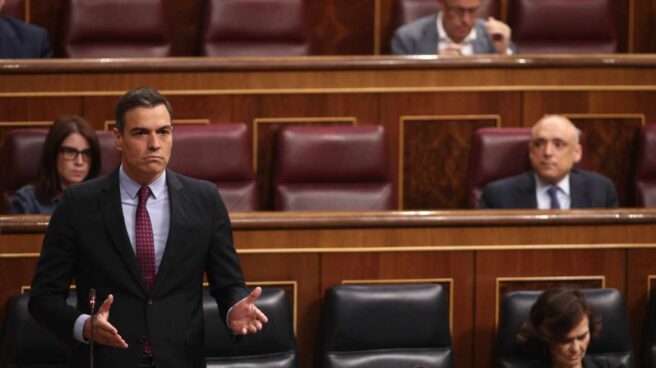 Pedro Sánchez, en el Congreso.