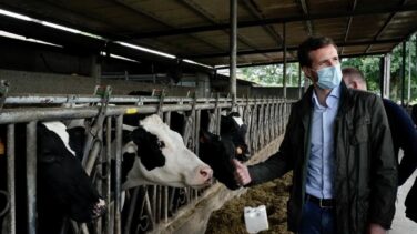 Casado, ofendido porque Sánchez fuese a Galicia "sólo para insultarme"