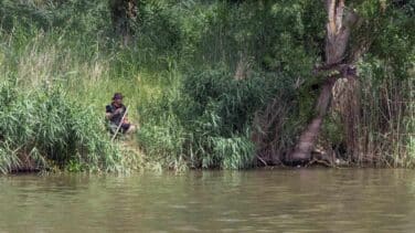 La Guardia Civil decide seguir adelante con la búsqueda del cocodrilo en Valladolid