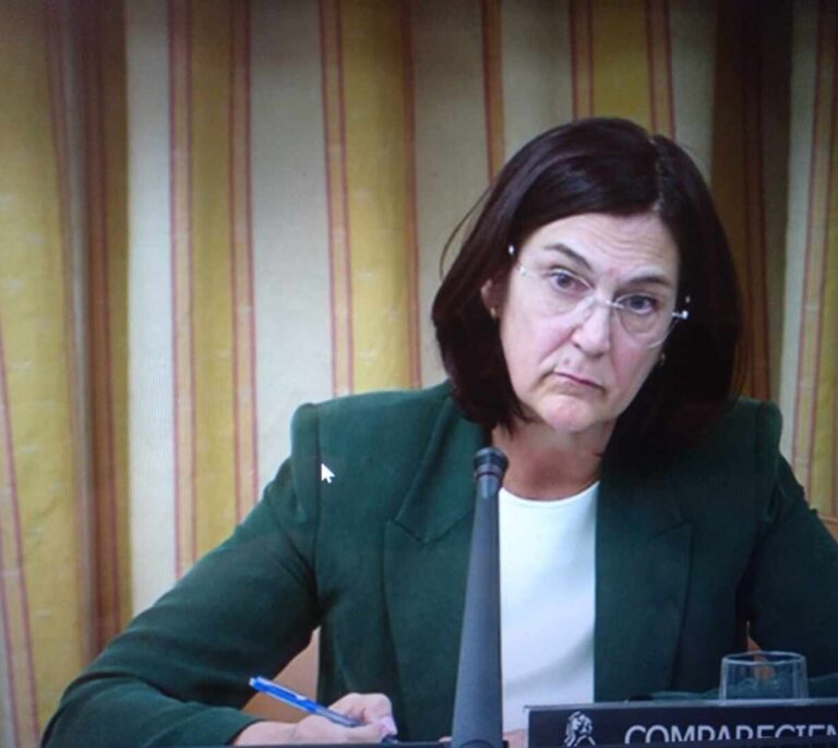 La nueva jefa de la CNMC: “Nunca habrá conflicto de interés. Ante cualquier duda me abstendré aunque la ley no lo exija”