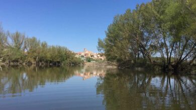 Seprona y guardia civil rastrean la confluencia del Pisuerga y el Duero en busca del cocodrilo avistado en Simancas