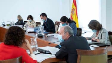 El Consejo de Ministros guarda un minuto de silencio en su reunión presencial