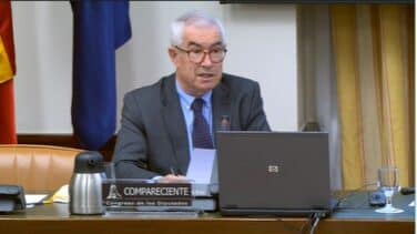 Un experto en el Congreso: "Desde Italia nos llamaban en febrero diciendo que morían como chinches"