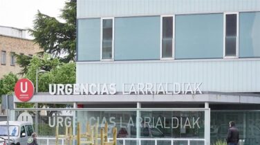Denuncian el suicidio de un niño de 9 años tutelado por el Gobierno navarro
