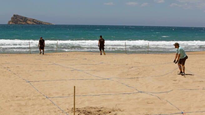 Operarios colocan cuadrículas de cuatro metros cuadrados en la playa de Levante de Benidorm.