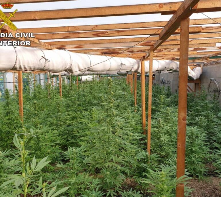 Liberadas ocho víctimas de trata a las que obligaban a cuidar de plantaciones de marihuana