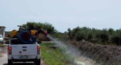 "España debe vigilar las migraciones de murciélagos, los mosquitos y el tráfico de especies"