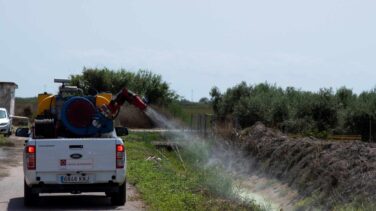 "España debe vigilar las migraciones de murciélagos, los mosquitos y el tráfico de especies"