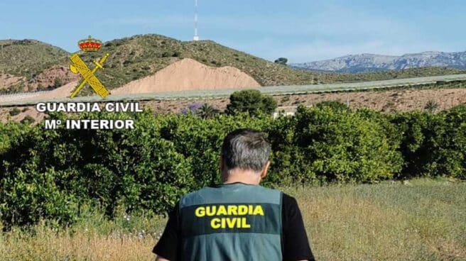 Un Guardia Civil de espaldas.