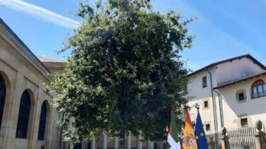 La Constitución pierde adeptos en Euskadi: PP y PSE sólo conservan 1 de cada 3 votos desde 2001