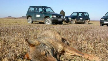 Más de 21.000 animales han muerto en España en los últimos 25 años por cebos envenenados