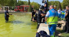 Muere un joven de 16 años succionado por una tubería de una fuente ornamental en Móstoles (Madrid)