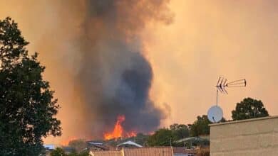 Tres incendios forestales, dos controlados, arrasan 850 hectáreas en Ourense