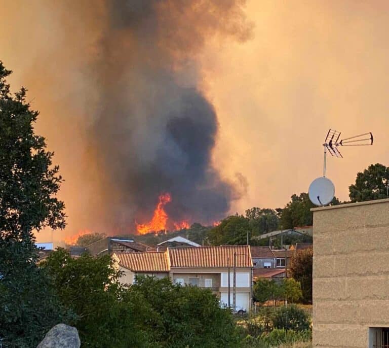 Tres incendios forestales, dos controlados, arrasan 850 hectáreas en Ourense