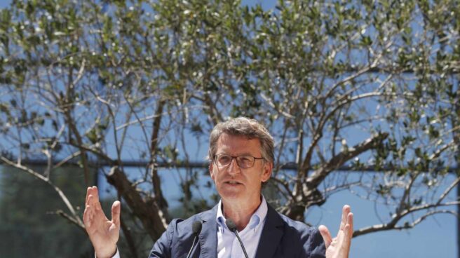 Nunez Feijoo reelected as regional President in Galicia